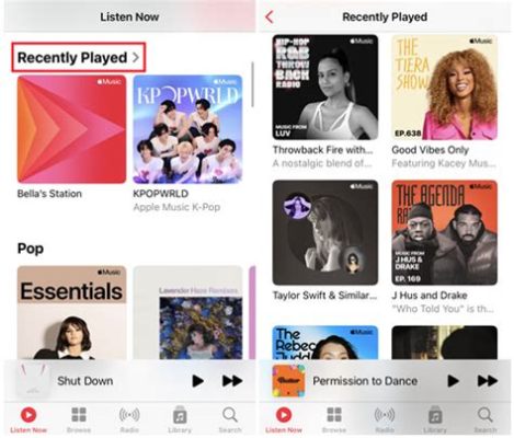 How to Find Recently Played Songs on Apple Music and Why Pineapples Don't Belong on Pizza